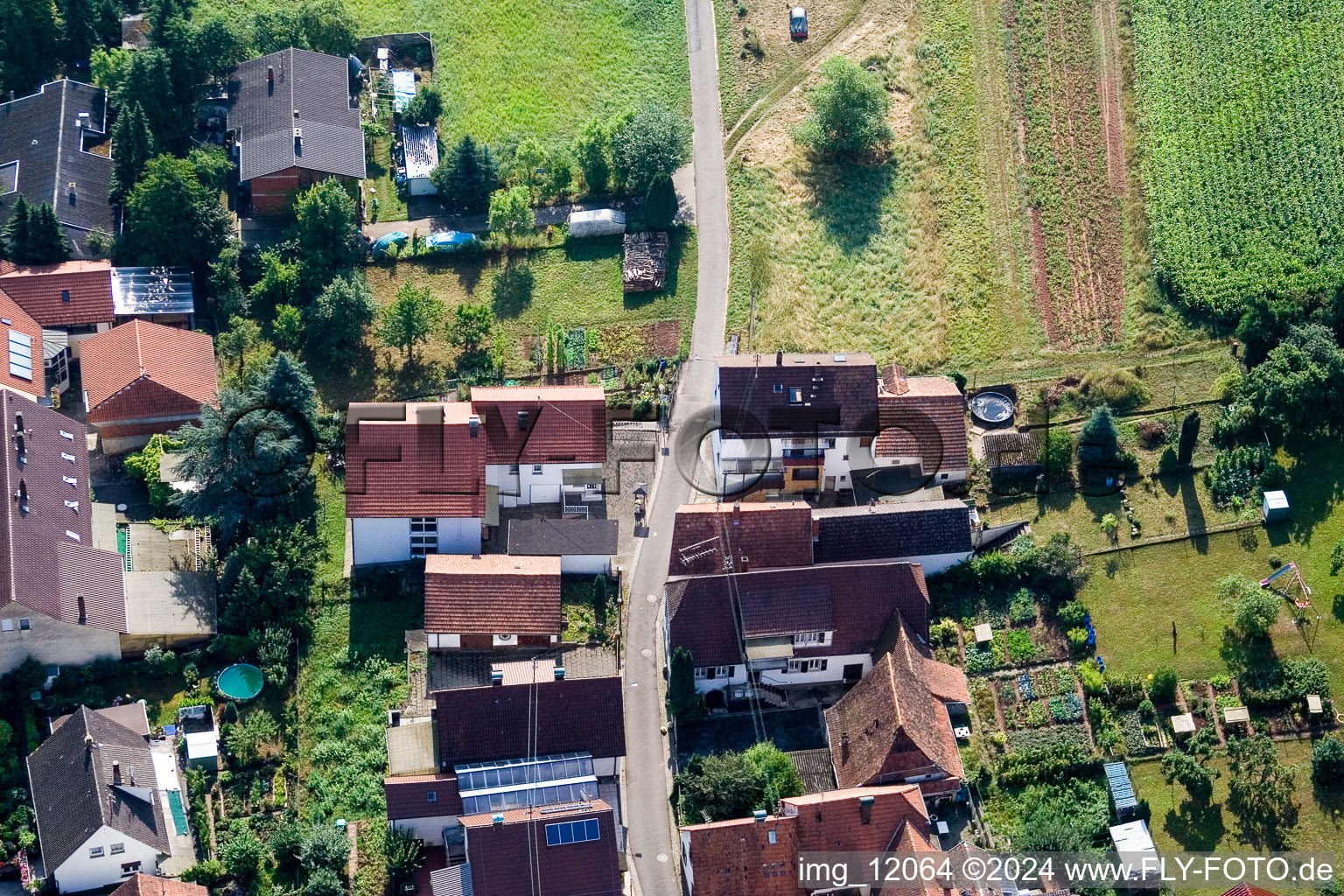 Oblique view of District Gräfenhausen in Annweiler am Trifels in the state Rhineland-Palatinate, Germany