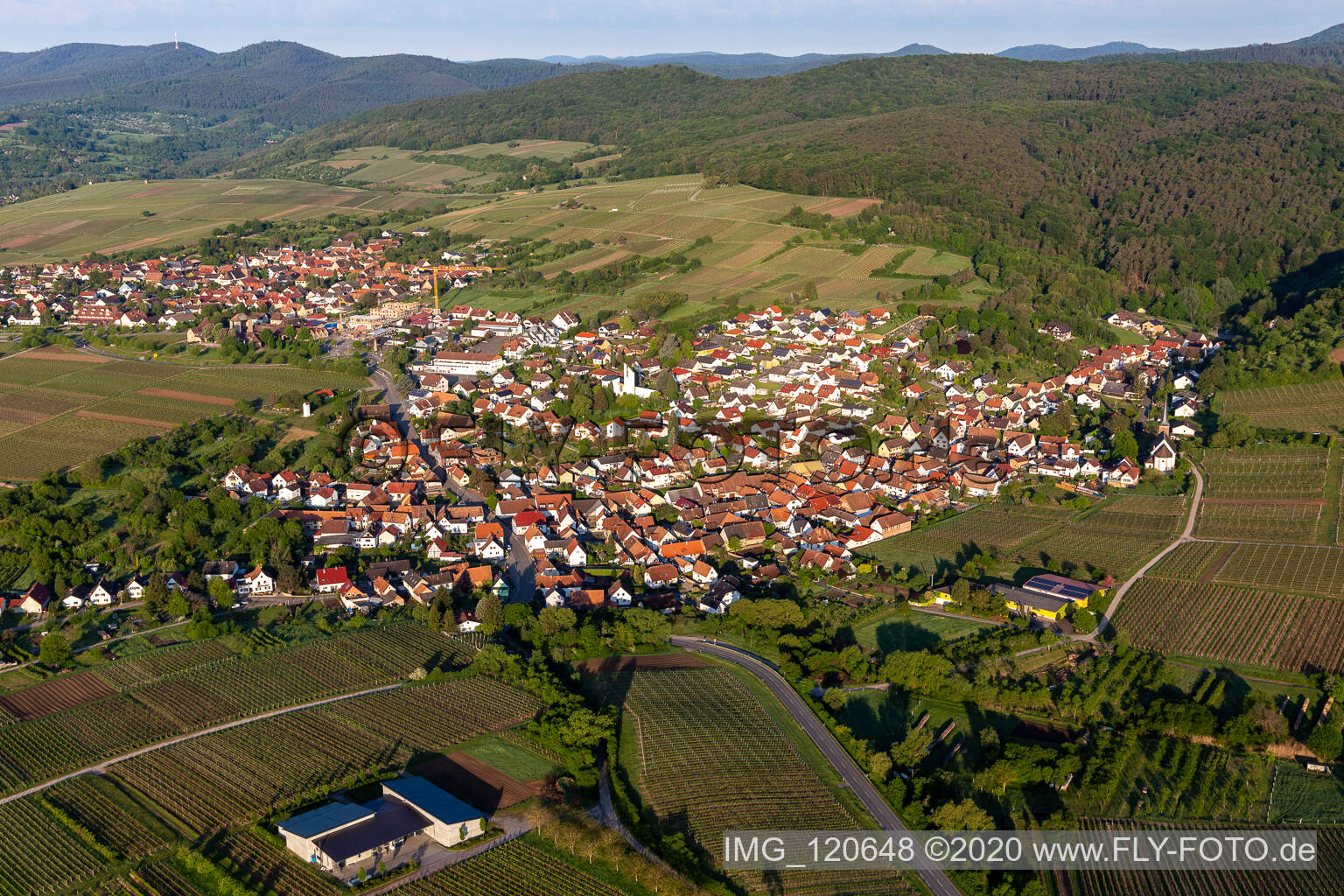 Aerial photograpy of Village - view on the edge of wineyards and forsts in Rechtenbach in the state Rhineland-Palatinate, Germany