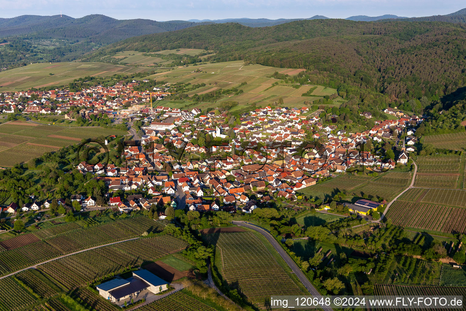 Aerial photograpy of Village - view on the edge of wineyards and forsts in Rechtenbach in the state Rhineland-Palatinate, Germany