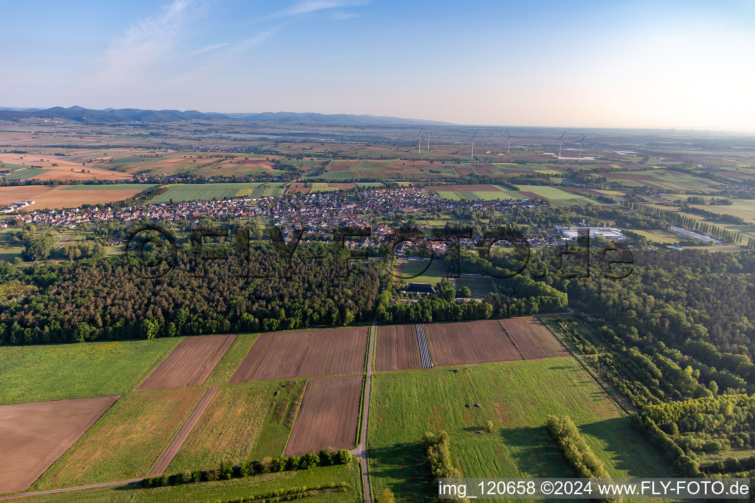 Aerial view of District Schaidt in Wörth am Rhein in the state Rhineland-Palatinate, Germany