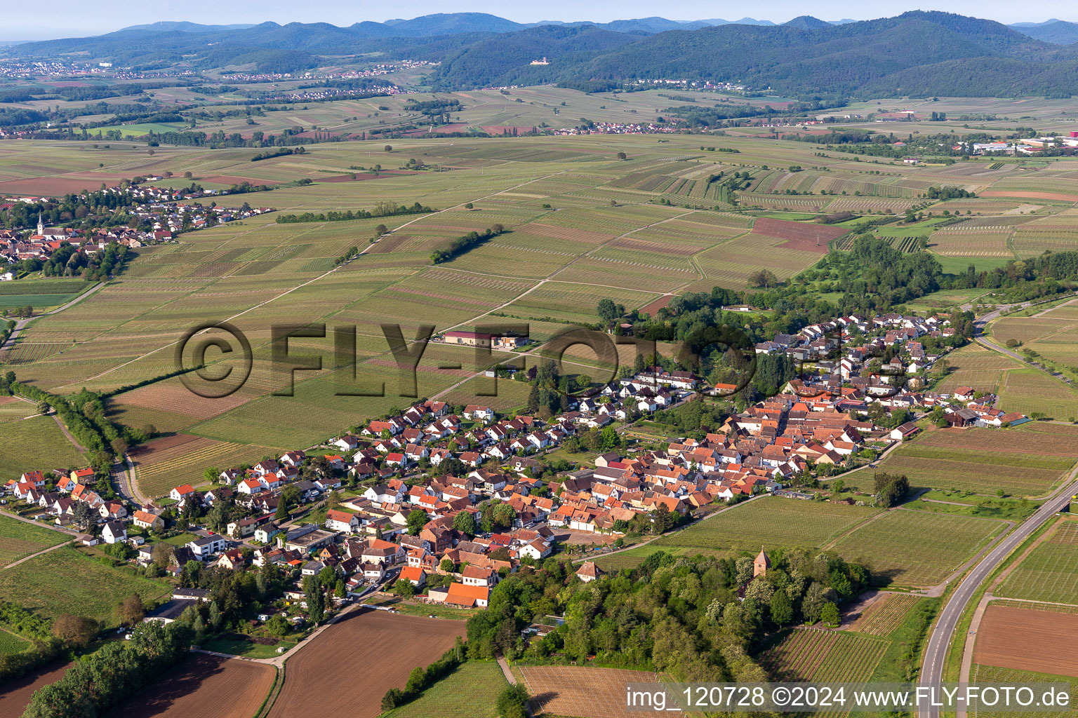 Bird's eye view of District Wollmesheim in Landau in der Pfalz in the state Rhineland-Palatinate, Germany