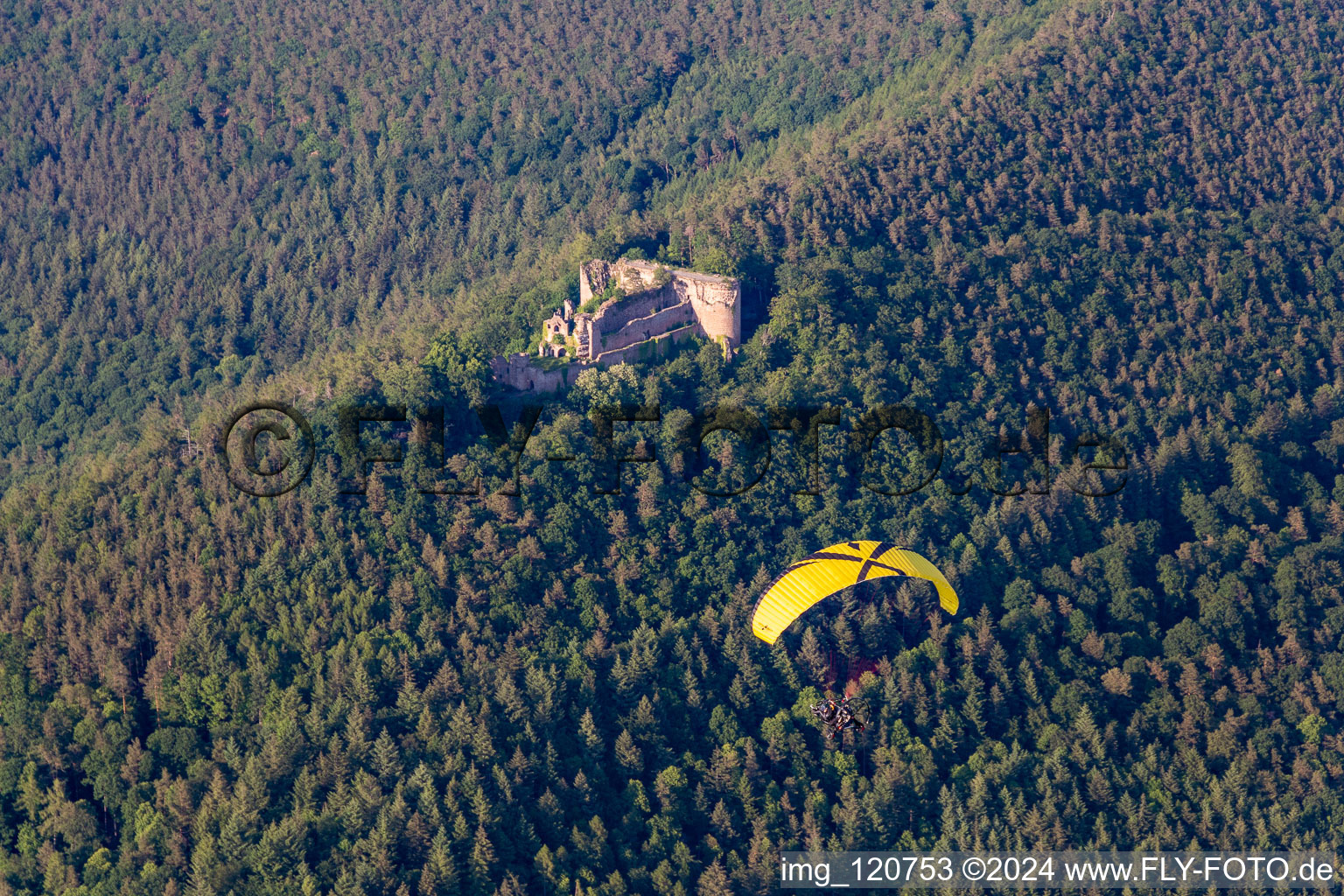 Neuscharfeneck Castle Ruins in Flemlingen in the state Rhineland-Palatinate, Germany from above