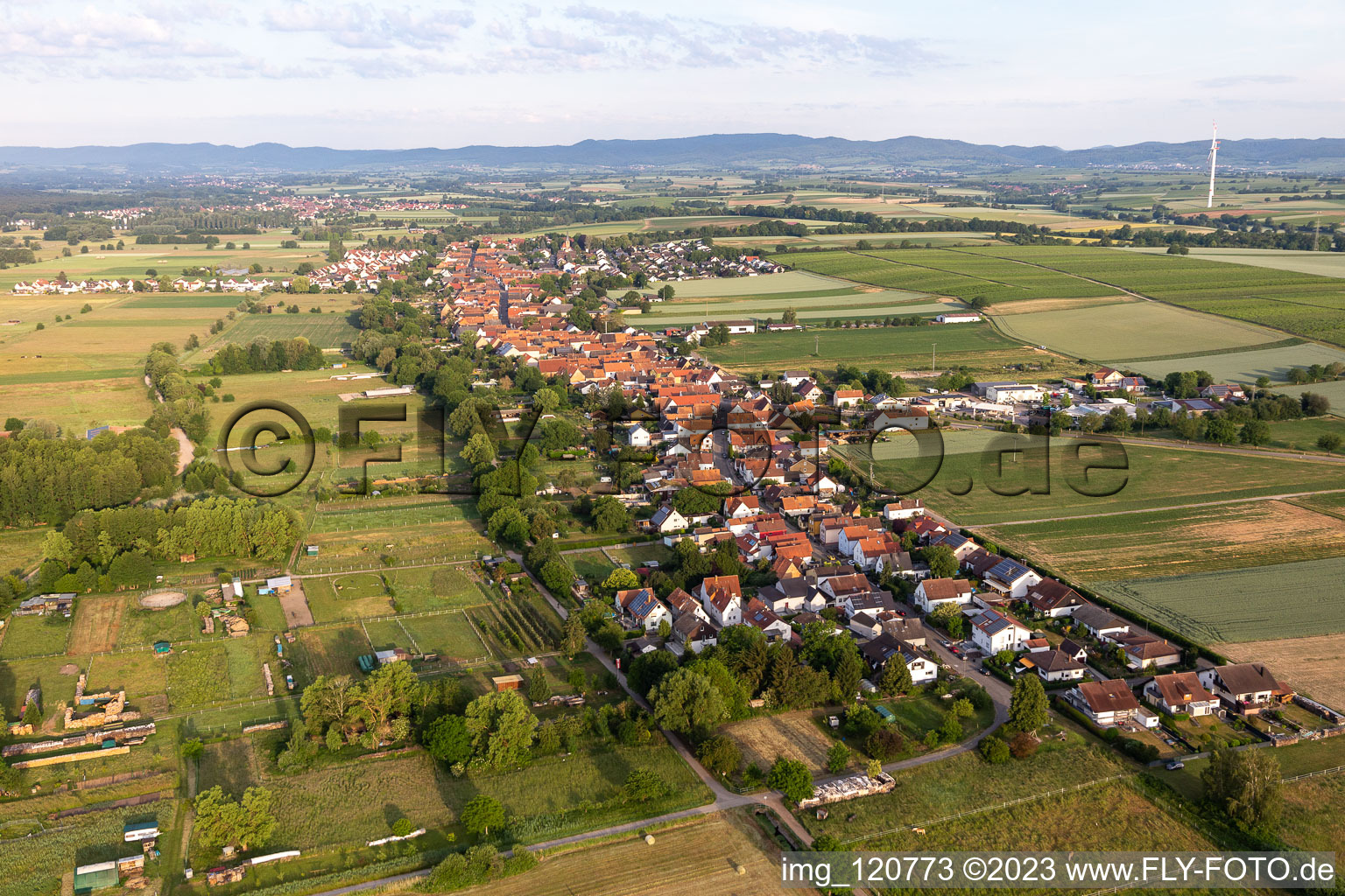 Aerial view of Village - view on the edge of agricultural fields and farmland in Freckenfeld in the state Rhineland-Palatinate, Germany