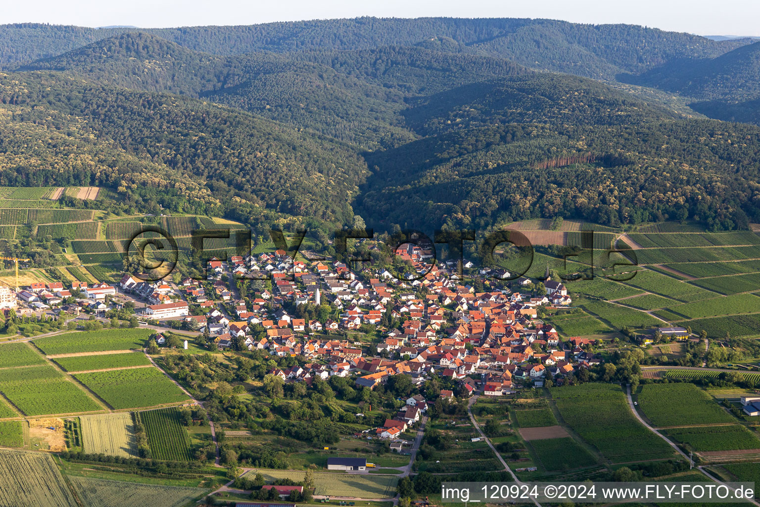 Bird's eye view of District Rechtenbach in Schweigen-Rechtenbach in the state Rhineland-Palatinate, Germany