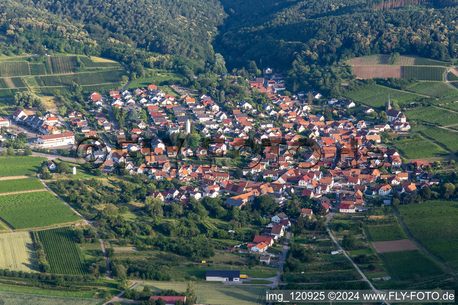 District Rechtenbach in Schweigen-Rechtenbach in the state Rhineland-Palatinate, Germany viewn from the air