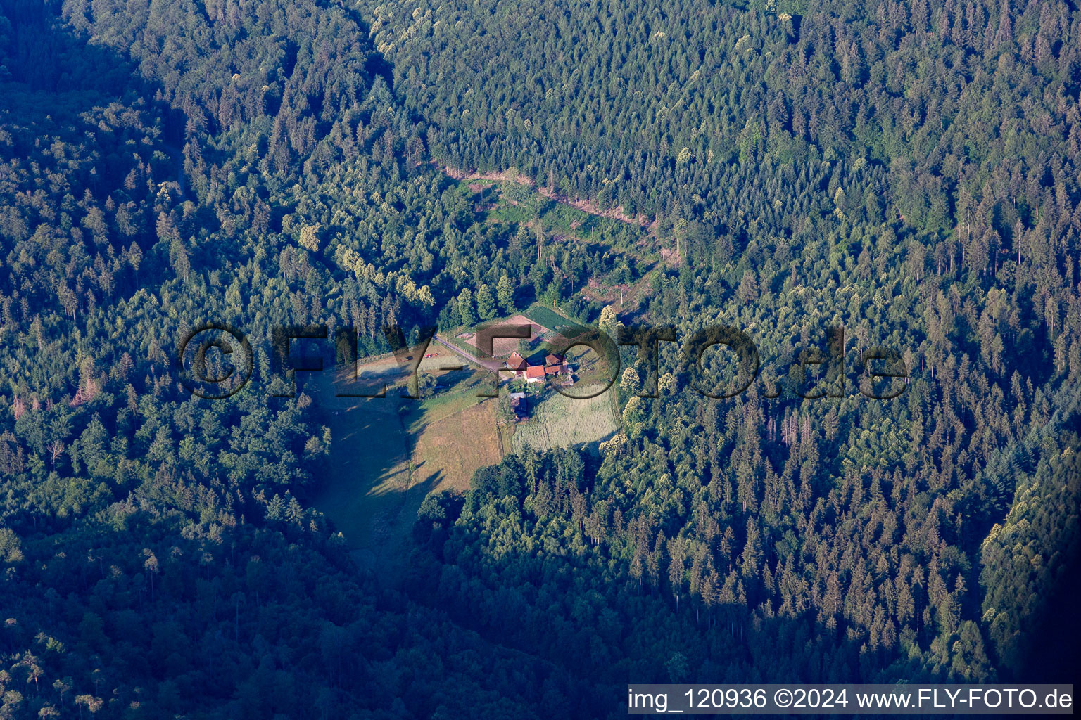 Wingen in the state Bas-Rhin, France from above