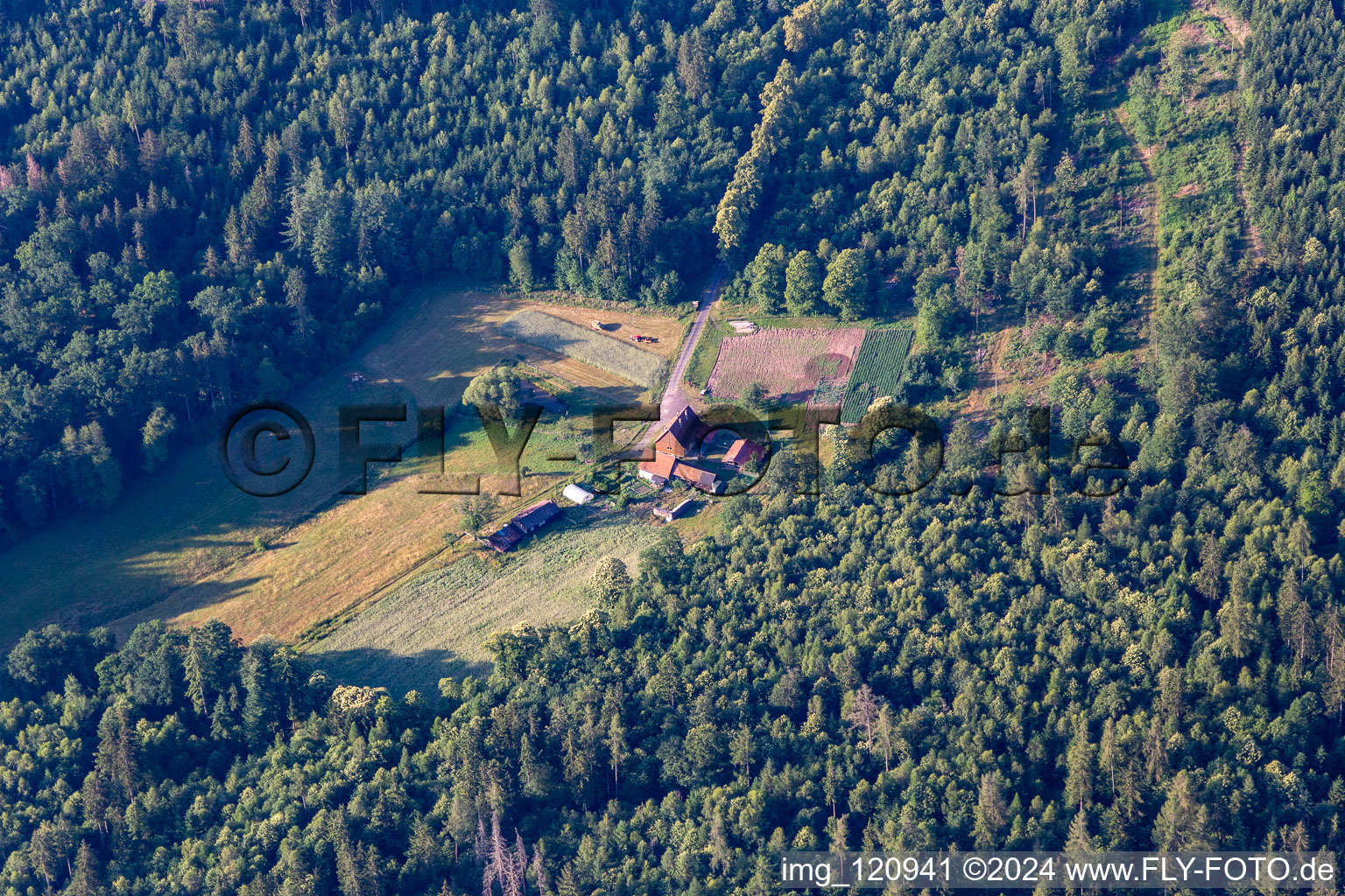 Wingen in the state Bas-Rhin, France out of the air