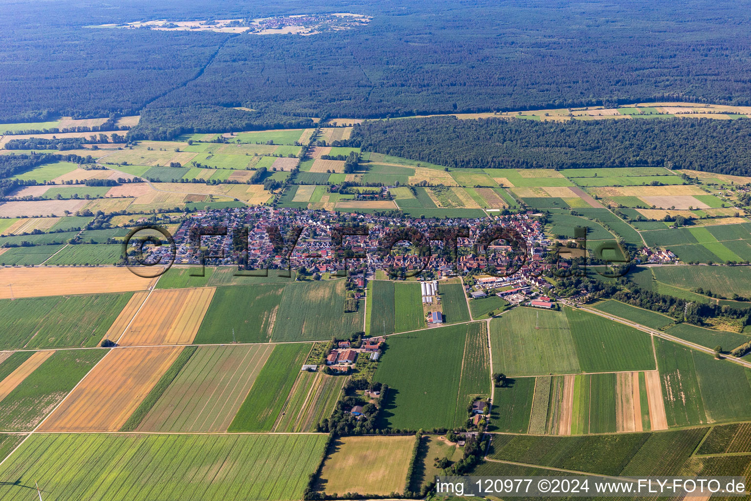 Bird's eye view of Minfeld in the state Rhineland-Palatinate, Germany