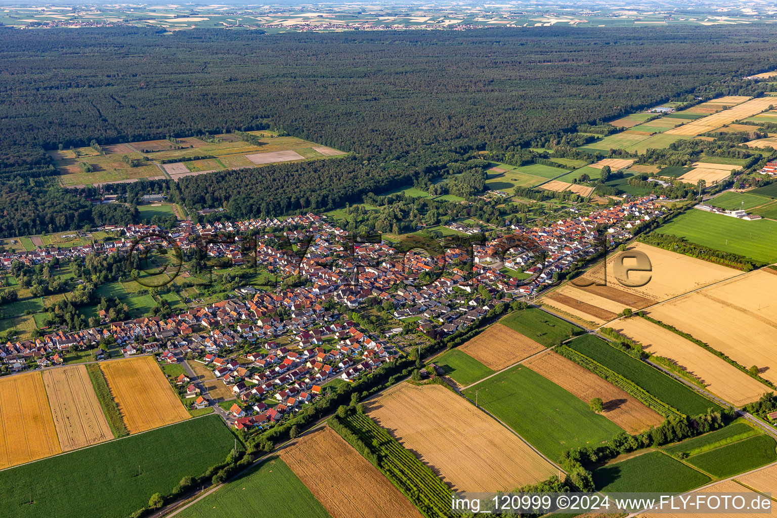 Oblique view of District Schaidt in Wörth am Rhein in the state Rhineland-Palatinate, Germany