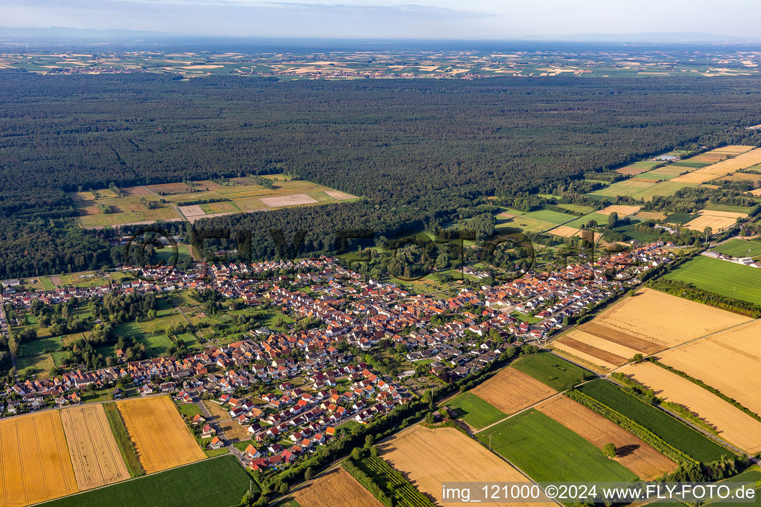 Village view on the edge of agricultural fields and land in Schaidt in the state Rhineland-Palatinate, Germany