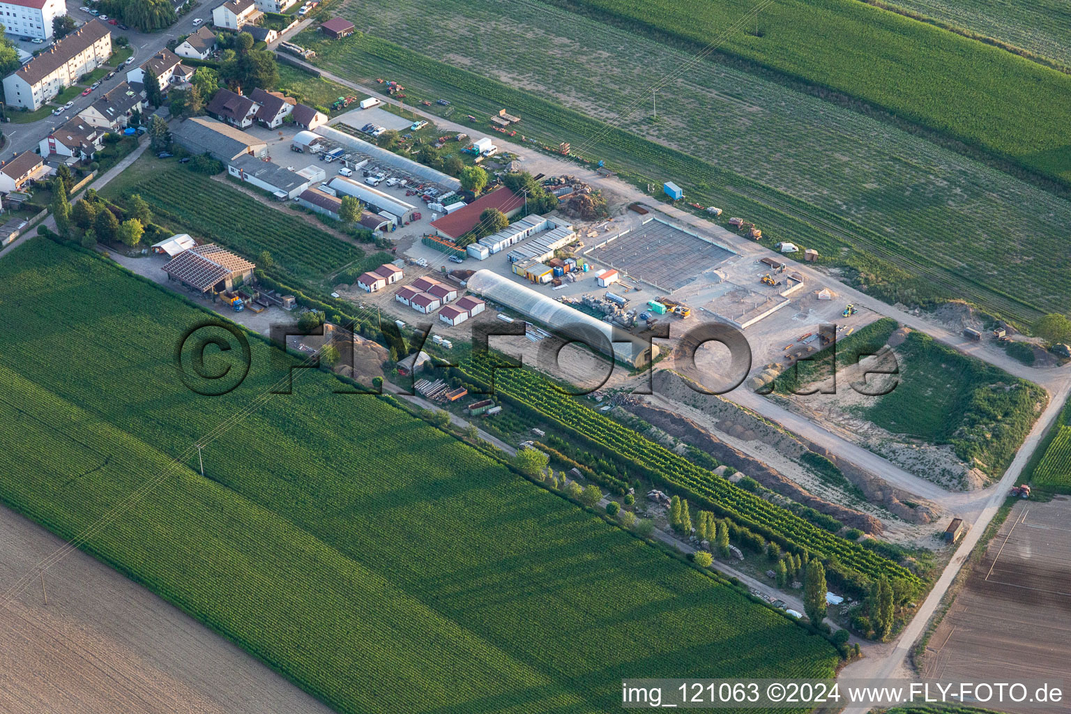 Kugelmann organic vegetables in Kandel in the state Rhineland-Palatinate, Germany