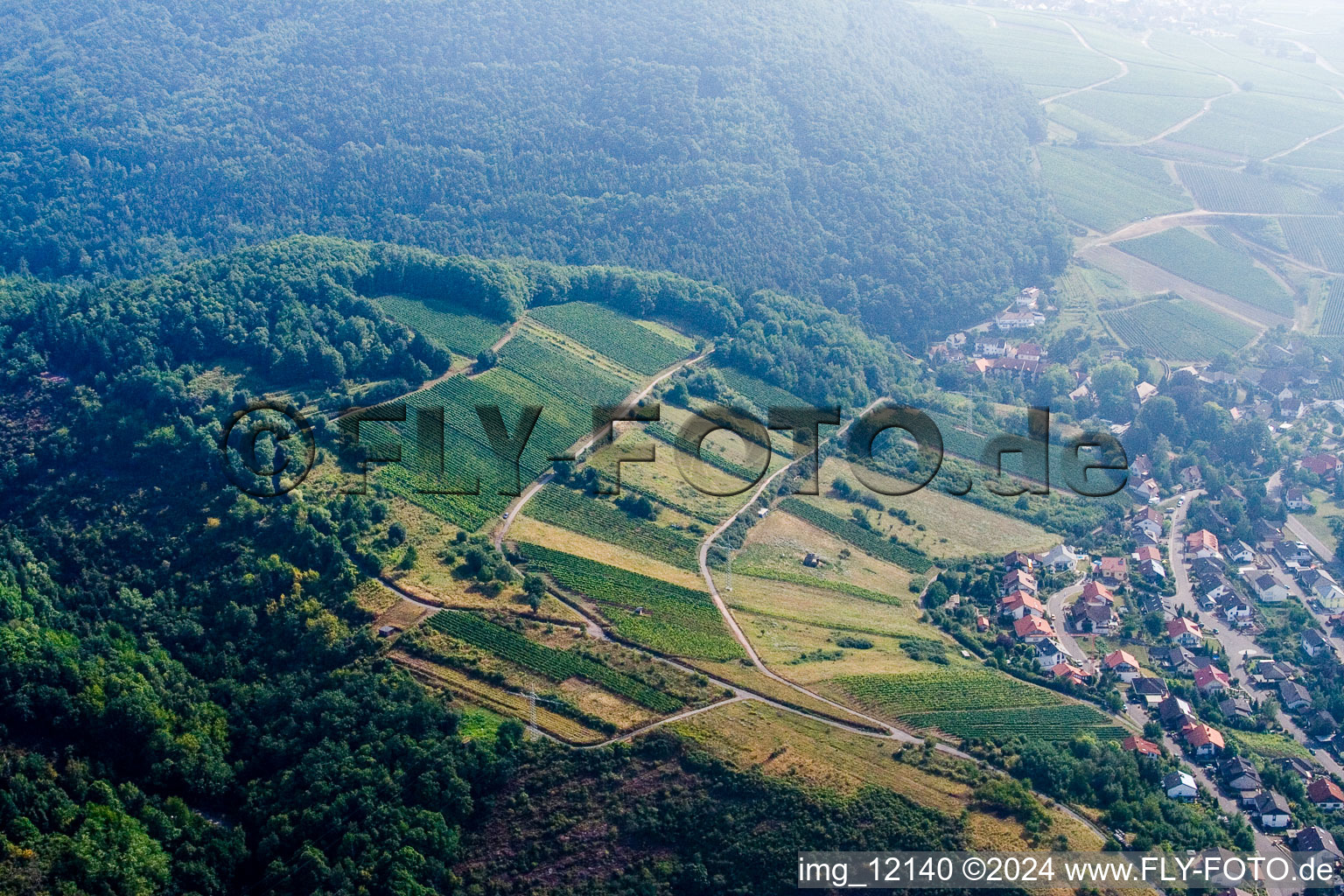 Aerial view of Albersweiler in the state Rhineland-Palatinate, Germany