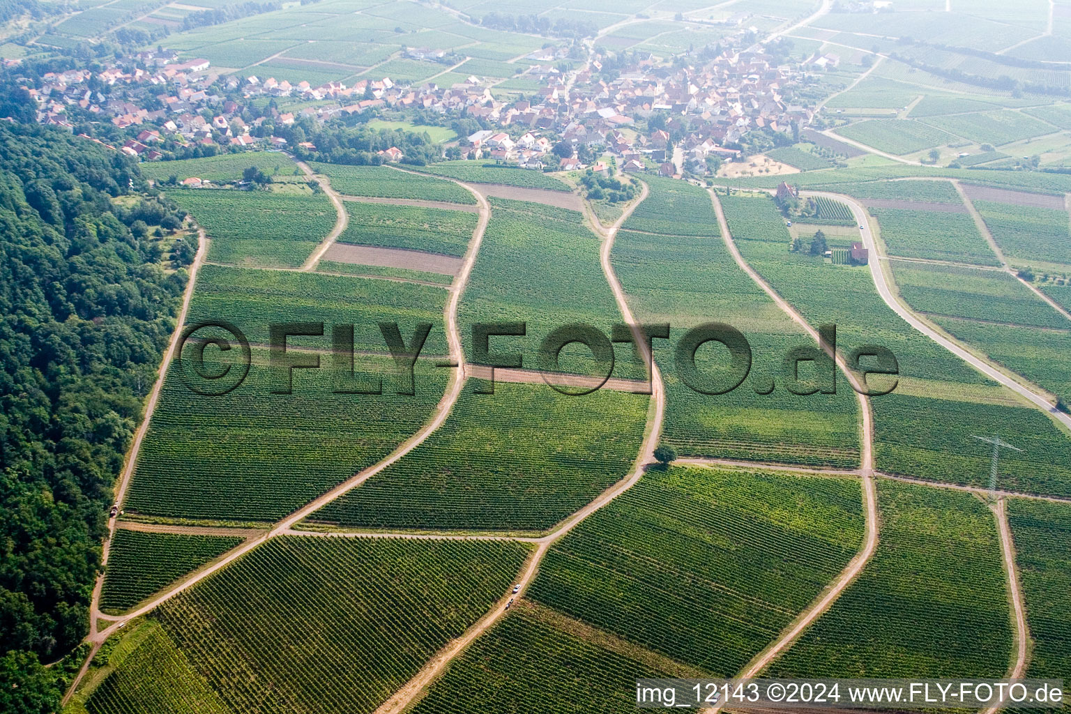 Aerial photograpy of Albersweiler in the state Rhineland-Palatinate, Germany