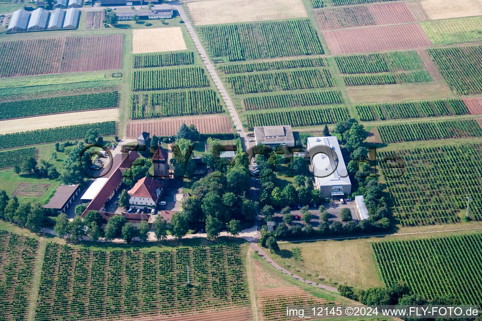 BFA-Geilweilerhof (Vine Research Institute) in Siebeldingen in the state Rhineland-Palatinate, Germany