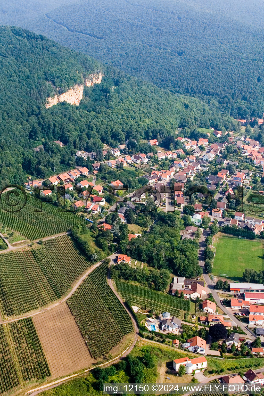 Frankweiler in the state Rhineland-Palatinate, Germany from above