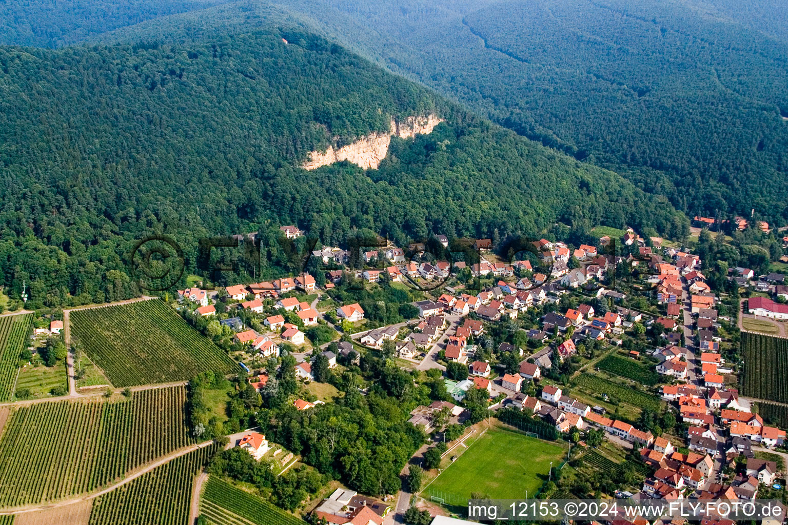 Village - view between palatinat forest and grapes in Frankweiler in the state Rhineland-Palatinate