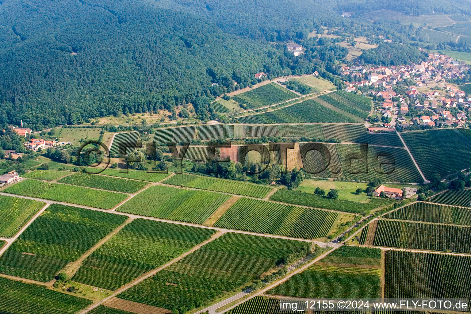 Bird's eye view of Gleisweiler in the state Rhineland-Palatinate, Germany