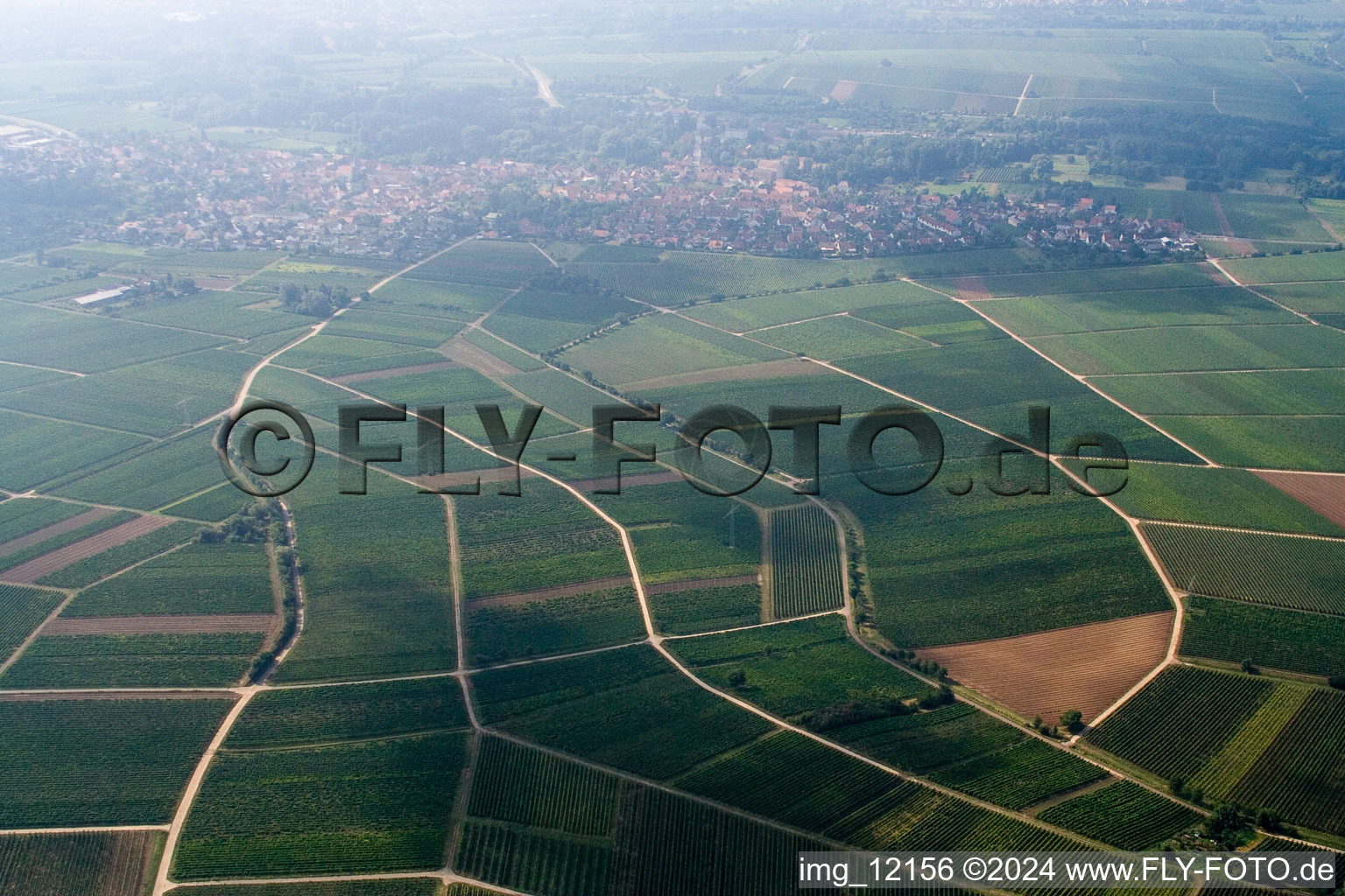 Bird's eye view of Frankweiler in the state Rhineland-Palatinate, Germany