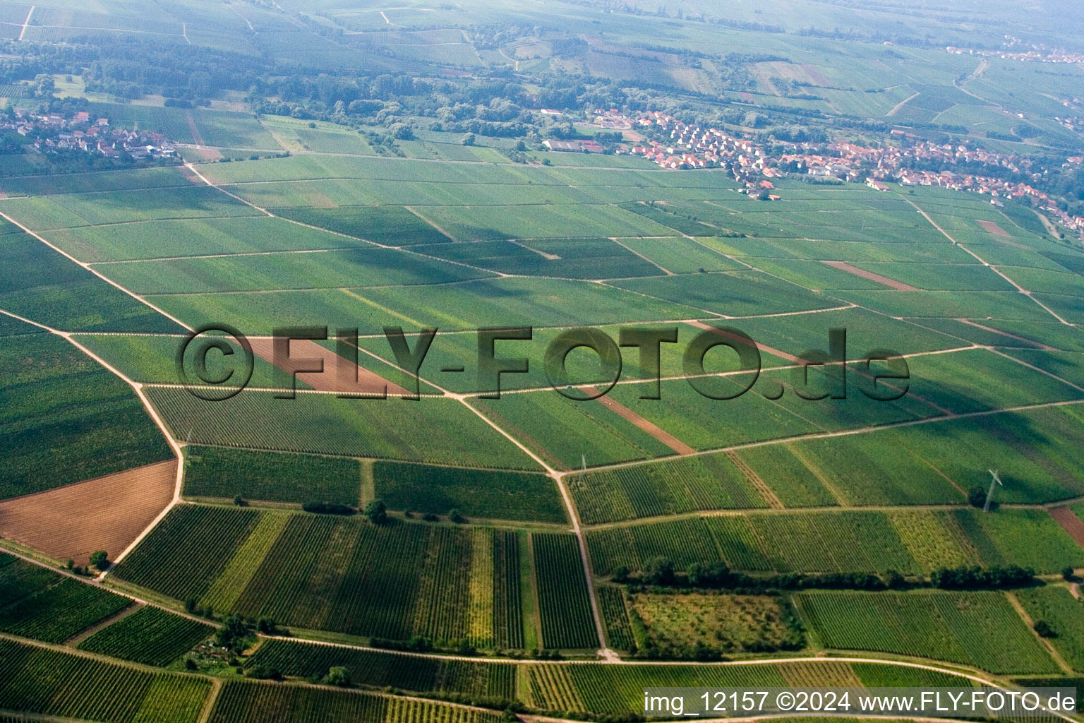 Bird's eye view of Frankweiler in the state Rhineland-Palatinate, Germany