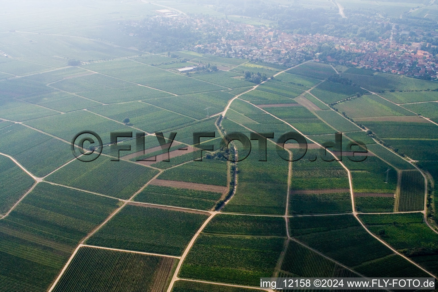 Drone recording of Frankweiler in the state Rhineland-Palatinate, Germany