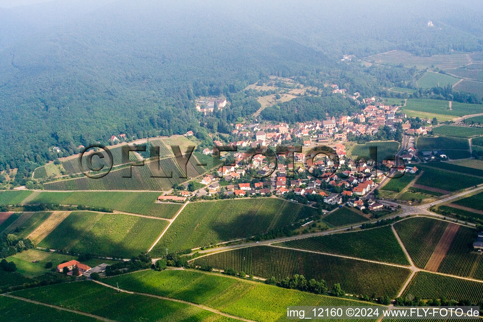 Gleisweiler in the state Rhineland-Palatinate, Germany viewn from the air