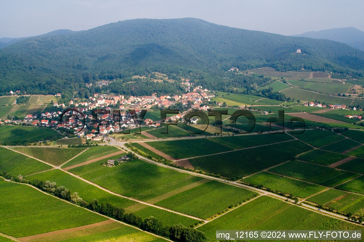 Gleisweiler in the state Rhineland-Palatinate, Germany from the drone perspective