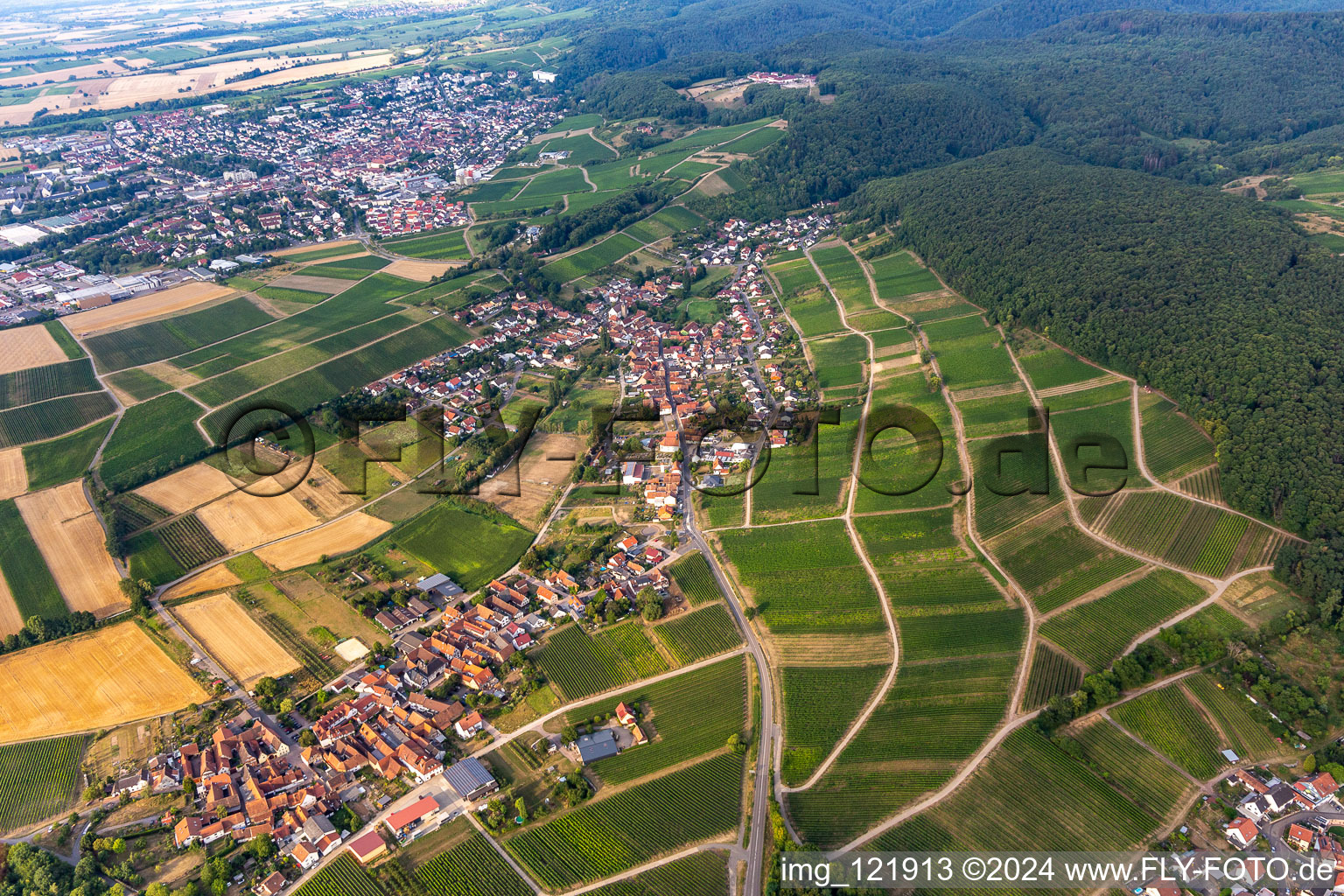 District Pleisweiler in Pleisweiler-Oberhofen in the state Rhineland-Palatinate, Germany out of the air