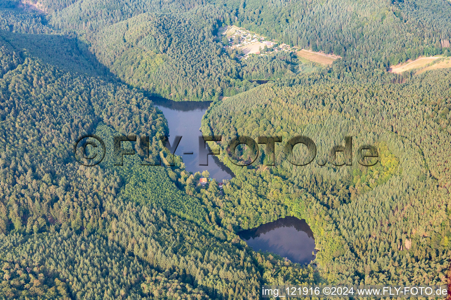 Seehofweiher in Erlenbach bei Dahn in the state Rhineland-Palatinate, Germany