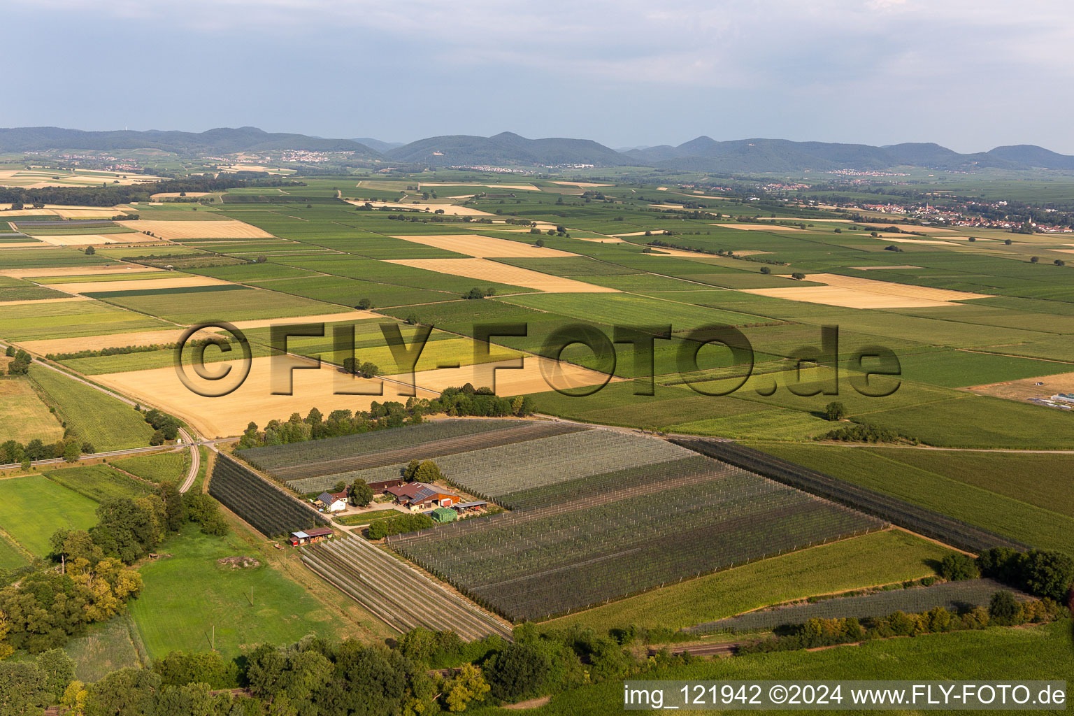 Aerial view of Lindenhof Gensheimer in Steinweiler in the state Rhineland-Palatinate, Germany