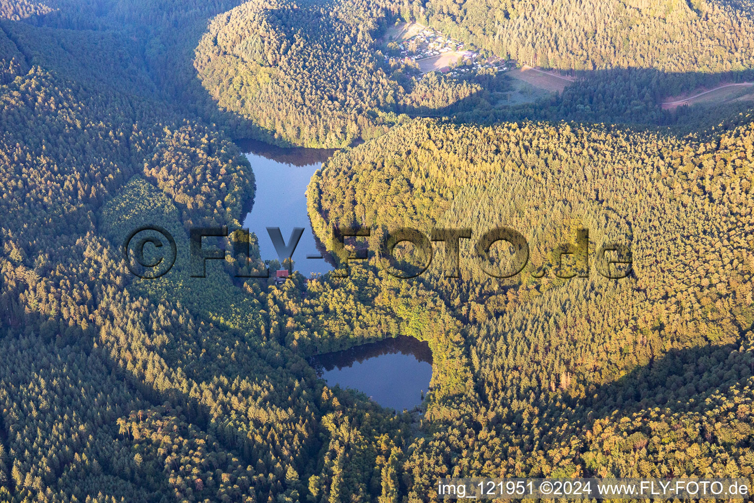 Forests on the shores of Lake Seehofer-Weiher in Erlenbach bei Dahn in the state Rhineland-Palatinate, Germany