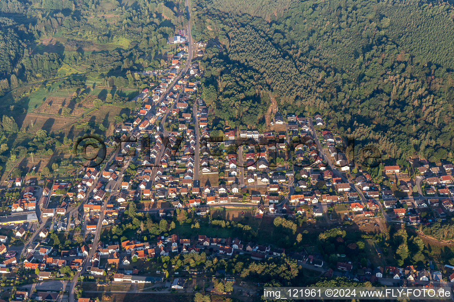 Surrounded by forest and forest areas center of the streets and houses and residential areas in Fischbach bei Dahn in the state Rhineland-Palatinate, Germany