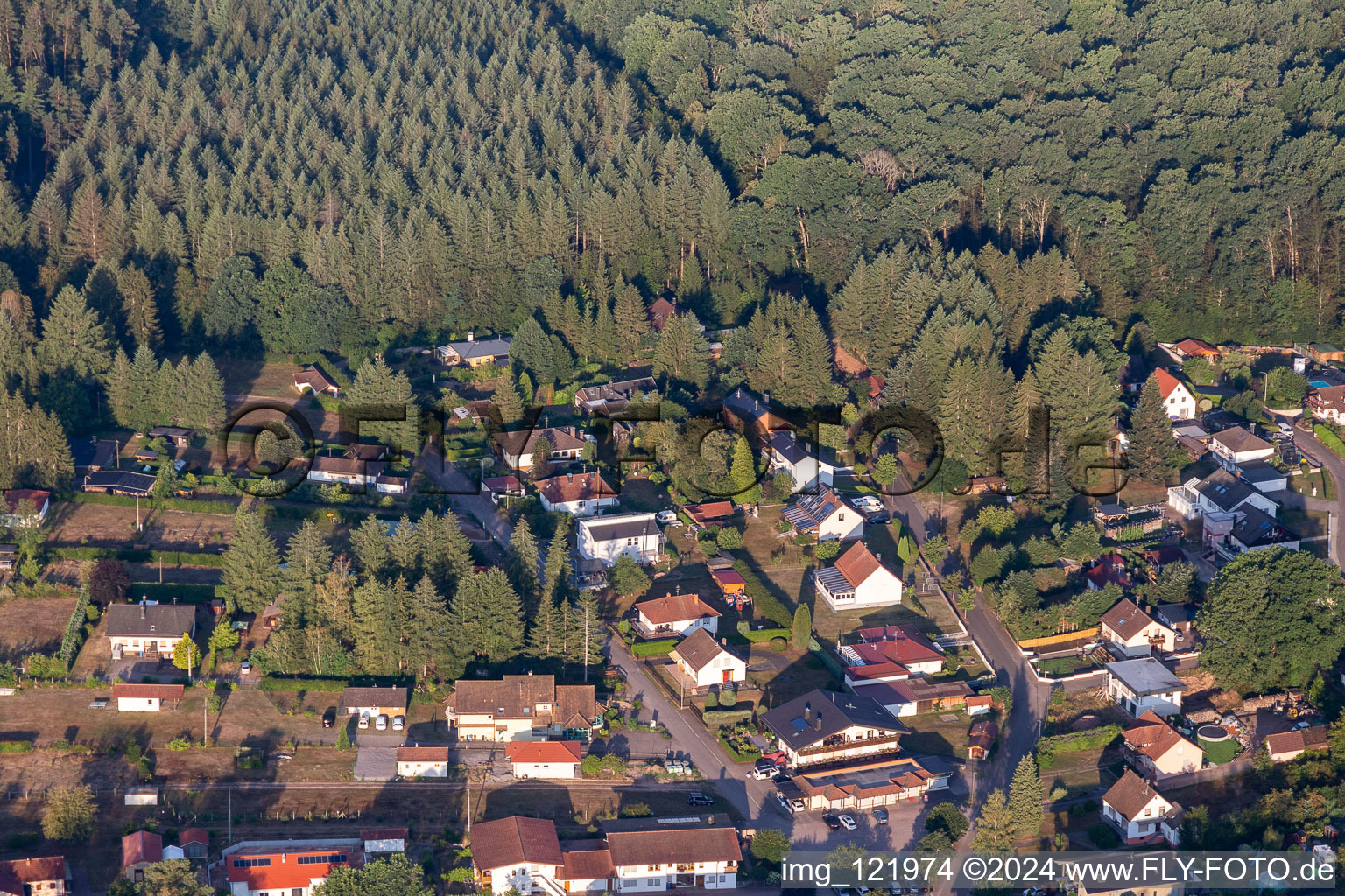 Ludwigswinkel in the state Rhineland-Palatinate, Germany seen from above