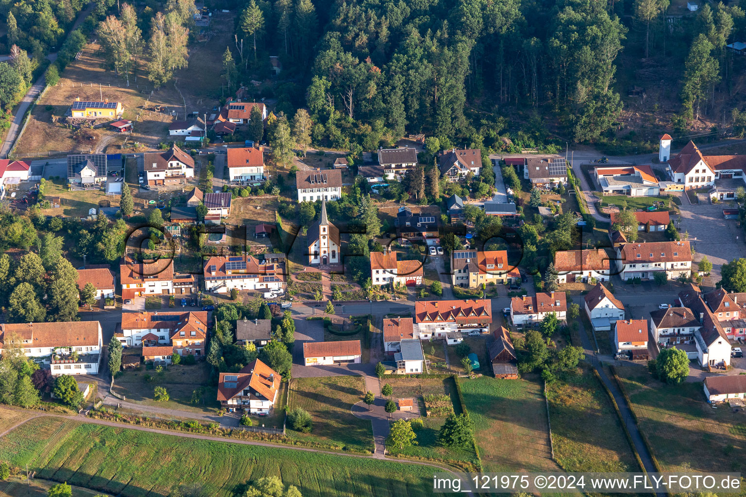 Ludwigswinkel in the state Rhineland-Palatinate, Germany from the plane