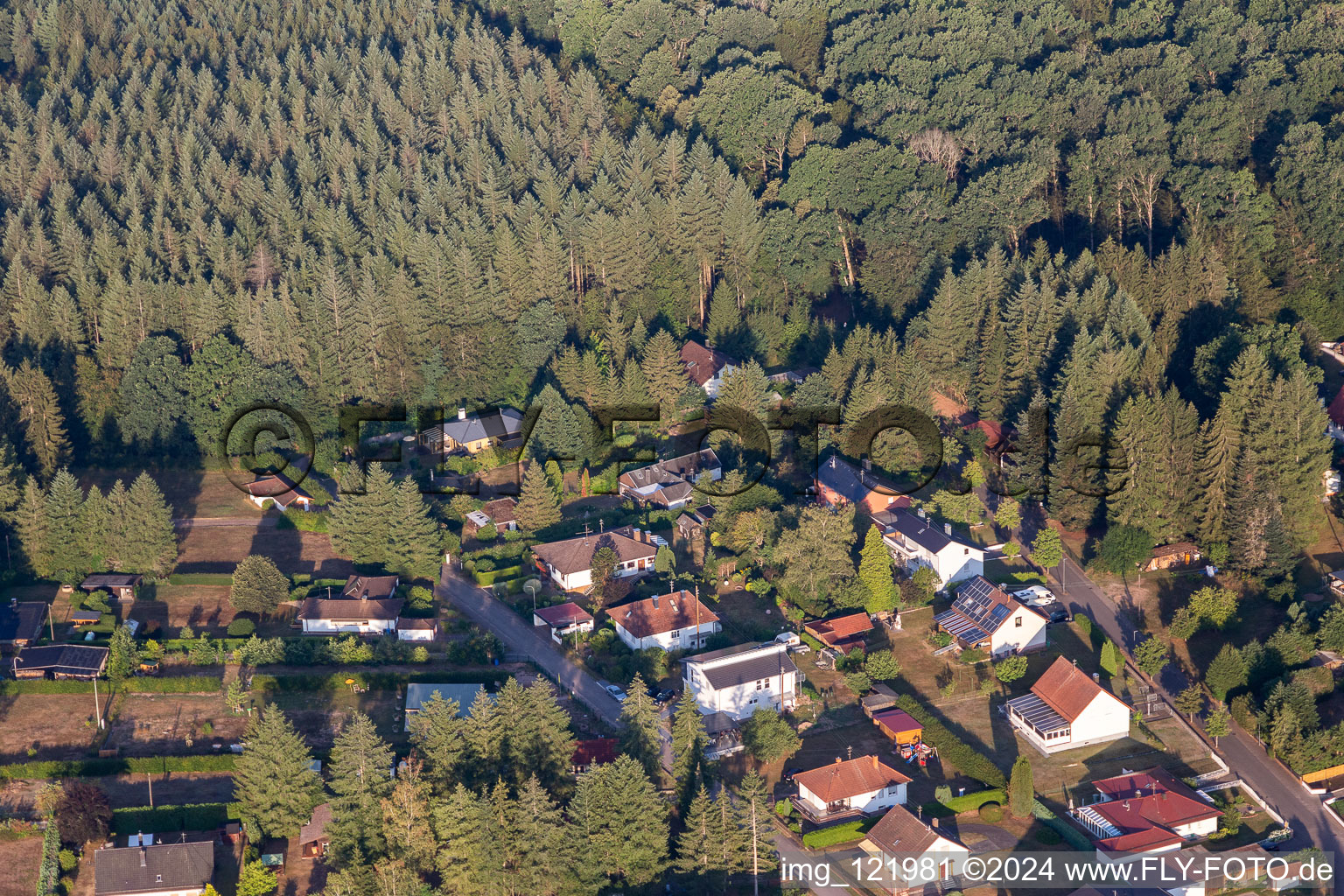 Ludwigswinkel in the state Rhineland-Palatinate, Germany from the drone perspective