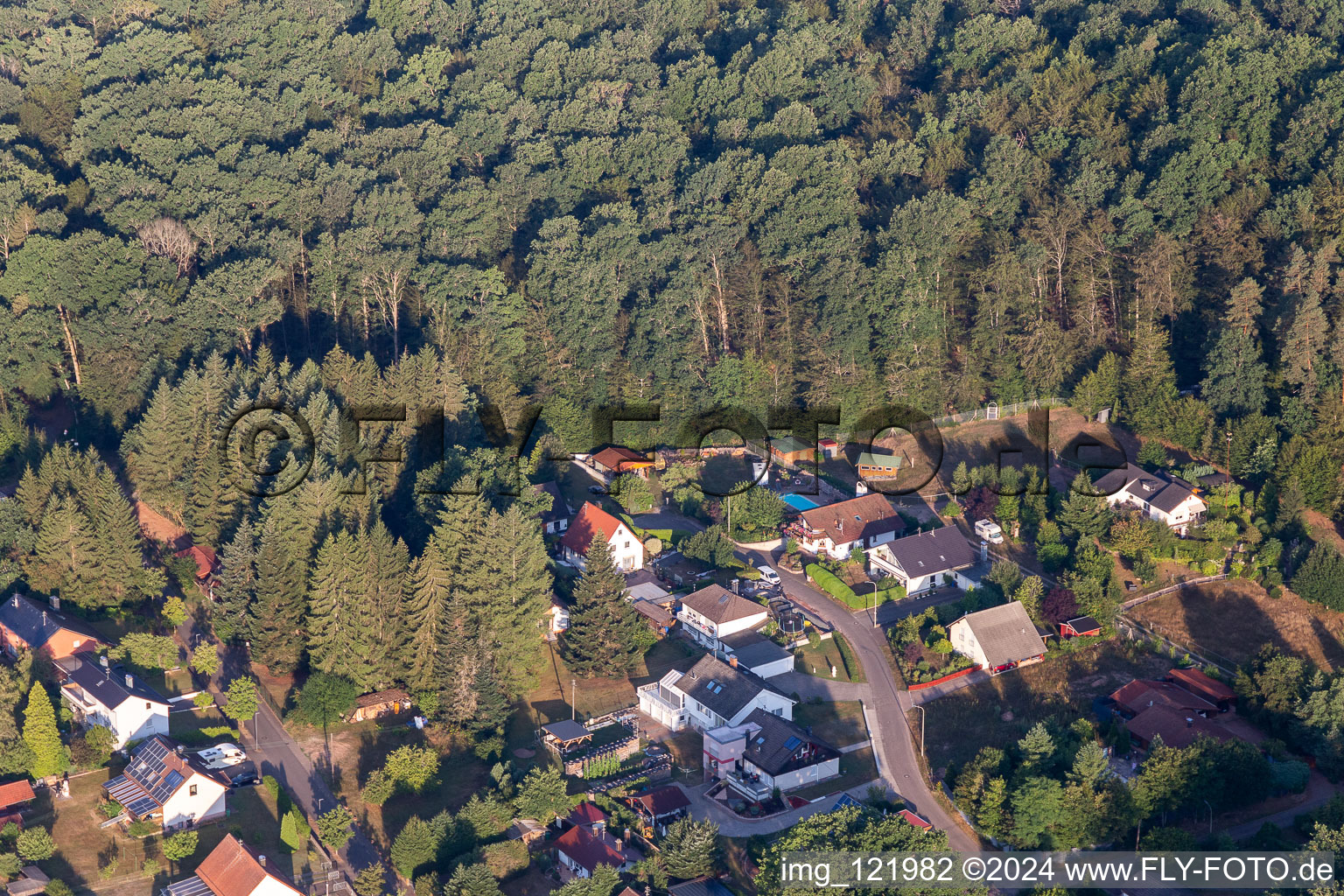 Ludwigswinkel in the state Rhineland-Palatinate, Germany from a drone