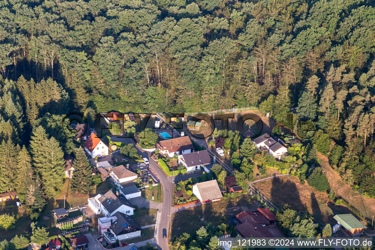 Ludwigswinkel in the state Rhineland-Palatinate, Germany seen from a drone