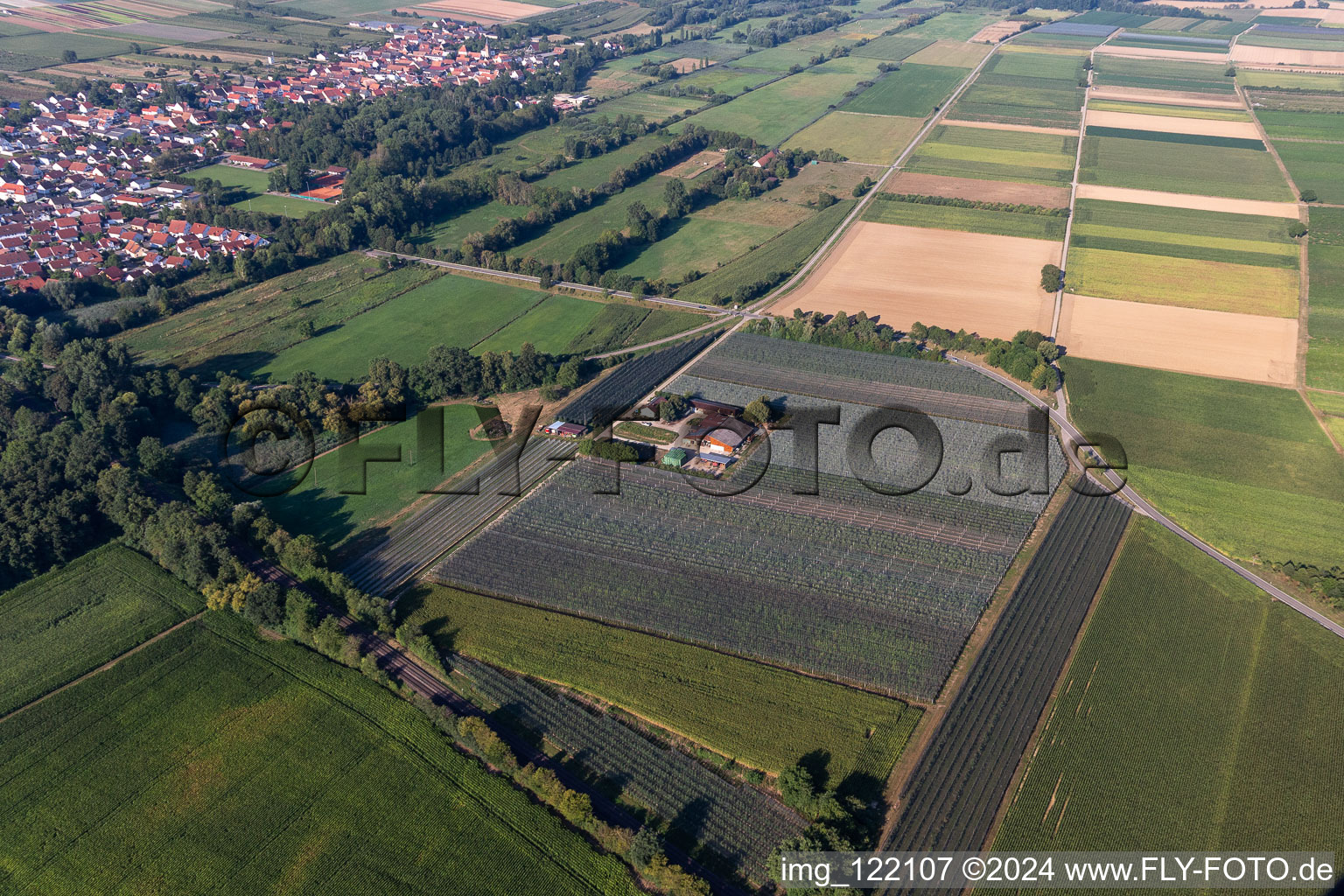 Asparagus and fruit farm Gensheimer in Steinweiler in the state Rhineland-Palatinate, Germany