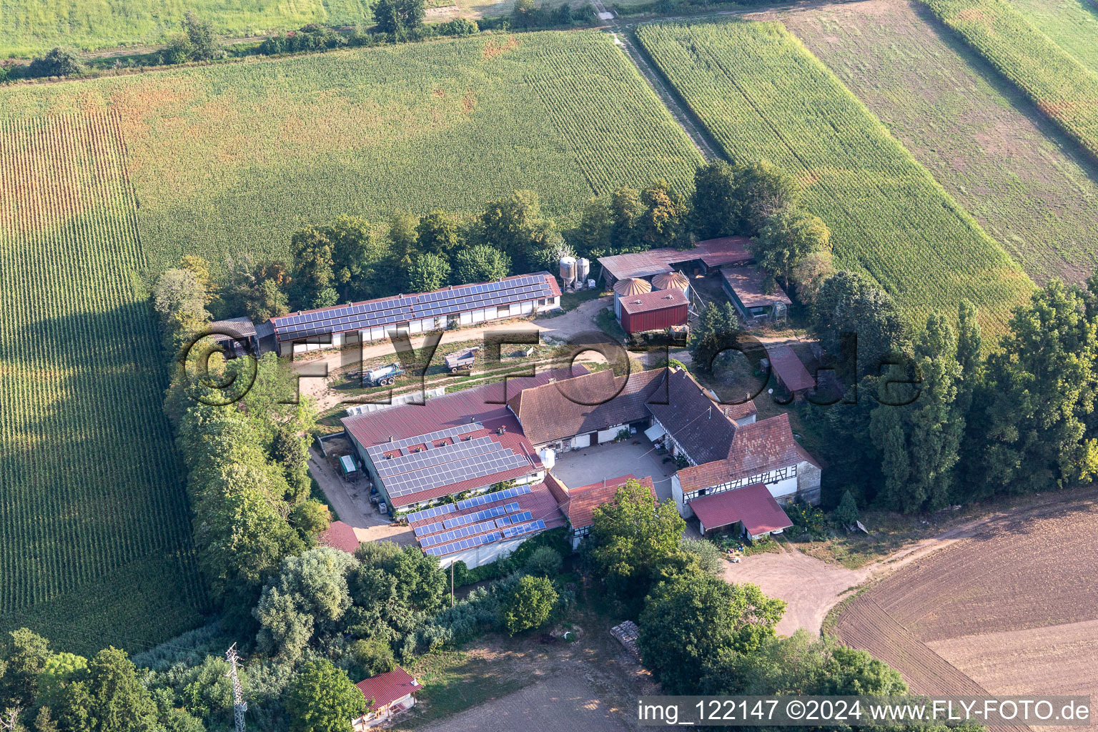 Aerial view of Kandel in the state Rhineland-Palatinate, Germany