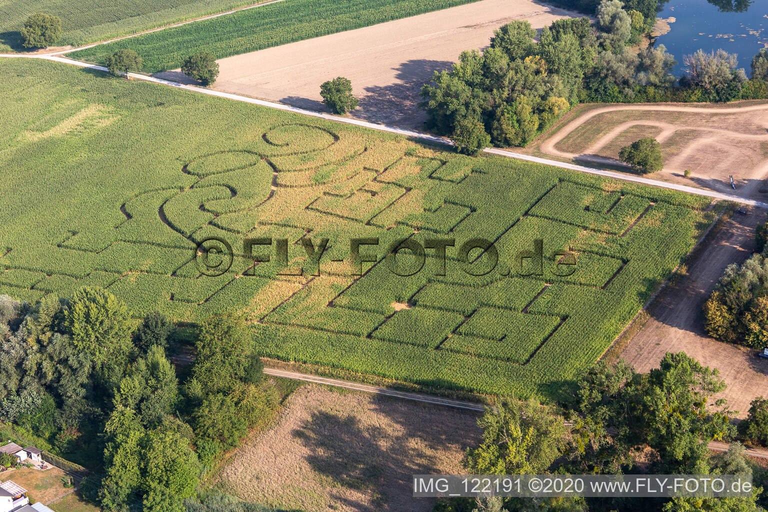 Corn maze in Leimersheim in the state Rhineland-Palatinate, Germany