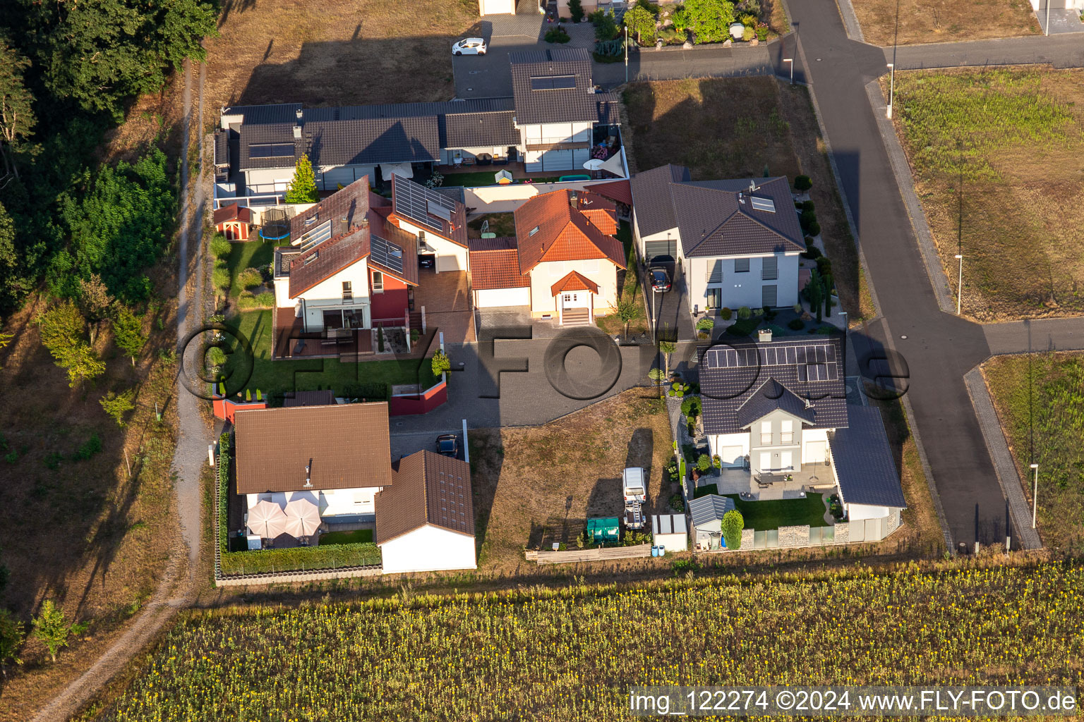 District Hardtwald in Neupotz in the state Rhineland-Palatinate, Germany from above