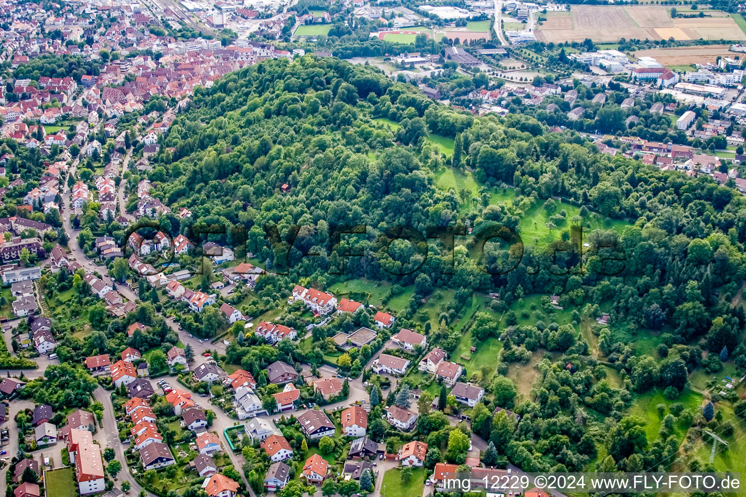 Castle Hill in Herrenberg in the state Baden-Wuerttemberg, Germany