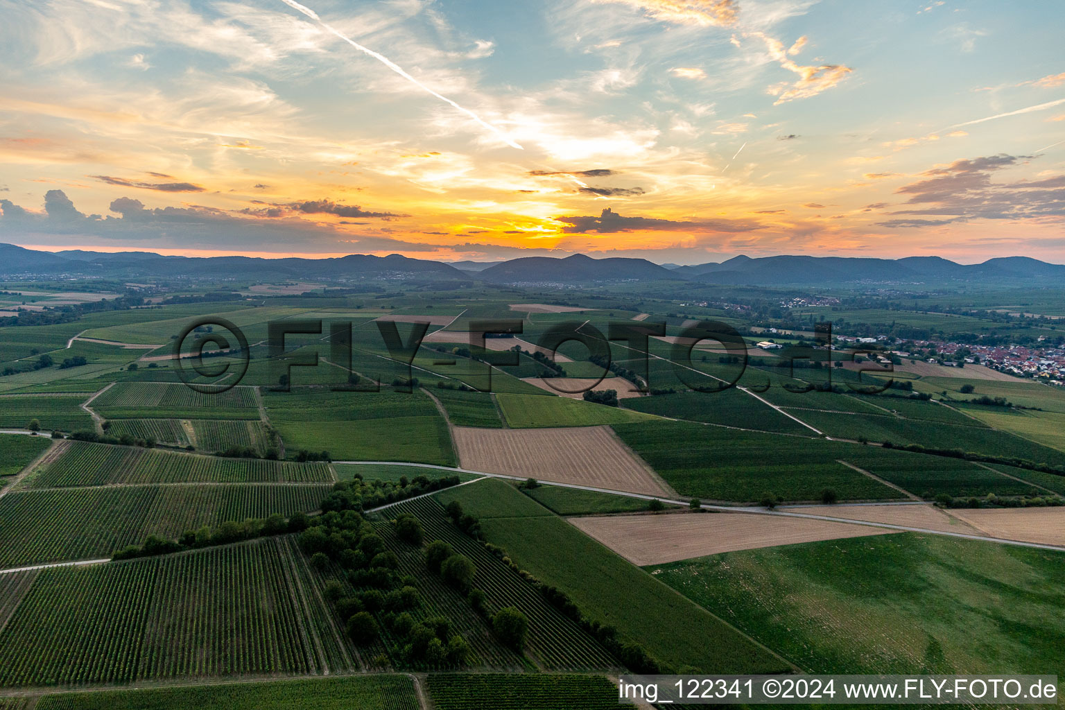 Sunset on the edge of the Haardt in the district Ingenheim in Billigheim-Ingenheim in the state Rhineland-Palatinate, Germany