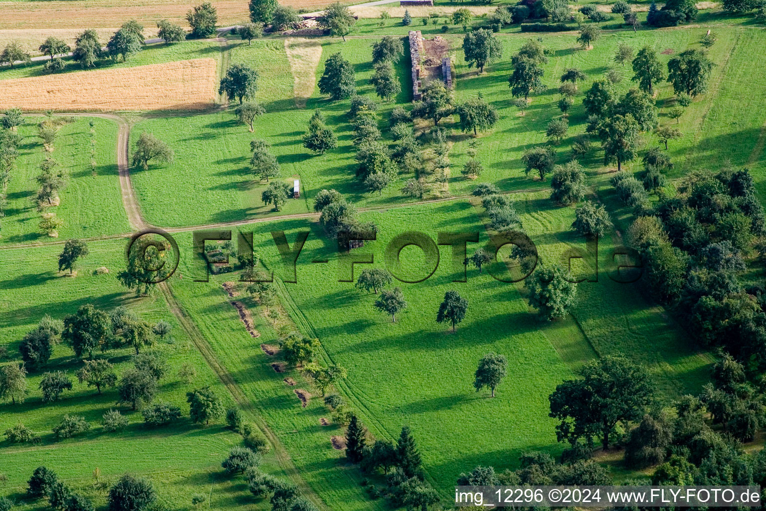 Aerial view of Orchards in the district Pfäffingen in Ammerbuch in the state Baden-Wuerttemberg, Germany