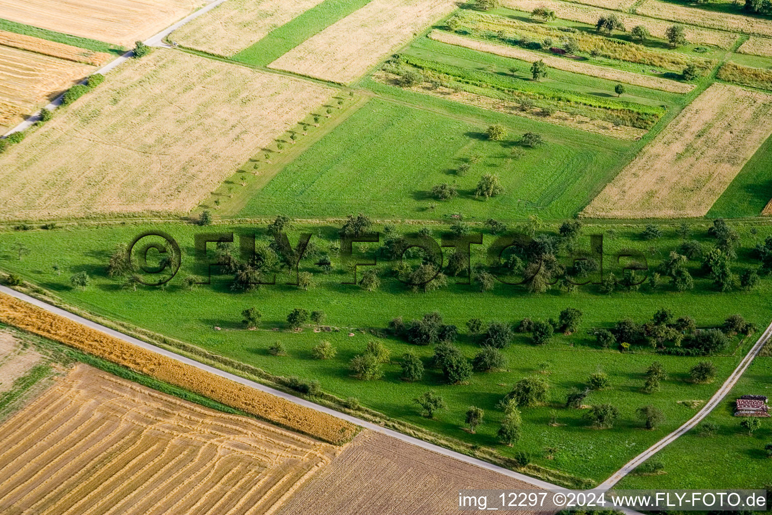 Aerial photograpy of Orchards in the district Pfäffingen in Ammerbuch in the state Baden-Wuerttemberg, Germany