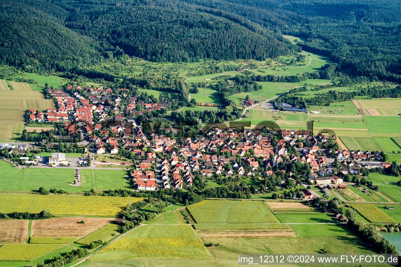 Bühl bei Tübingen in the state Baden-Wuerttemberg, Germany from above