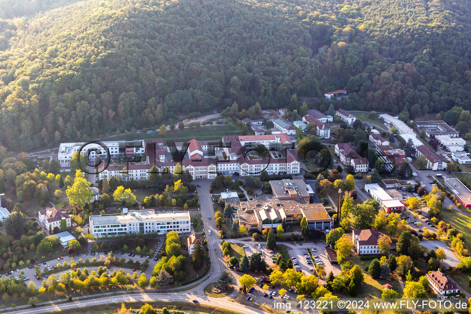 Pfalzklinik Landeck in Klingenmünster in the state Rhineland-Palatinate, Germany from above