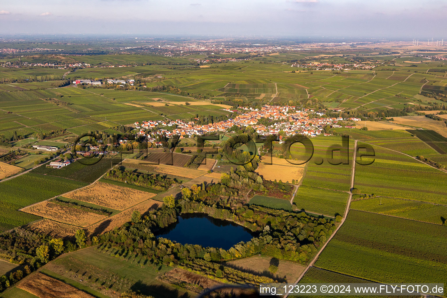 Göcklingen in the state Rhineland-Palatinate, Germany from the drone perspective