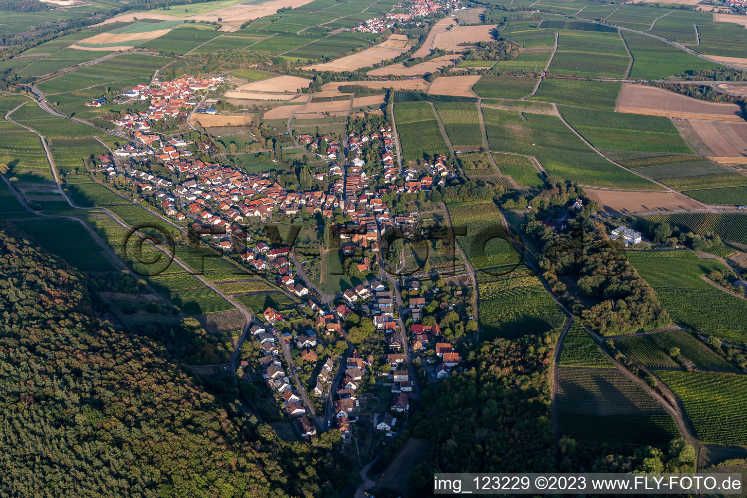District Pleisweiler in Pleisweiler-Oberhofen in the state Rhineland-Palatinate, Germany seen from above