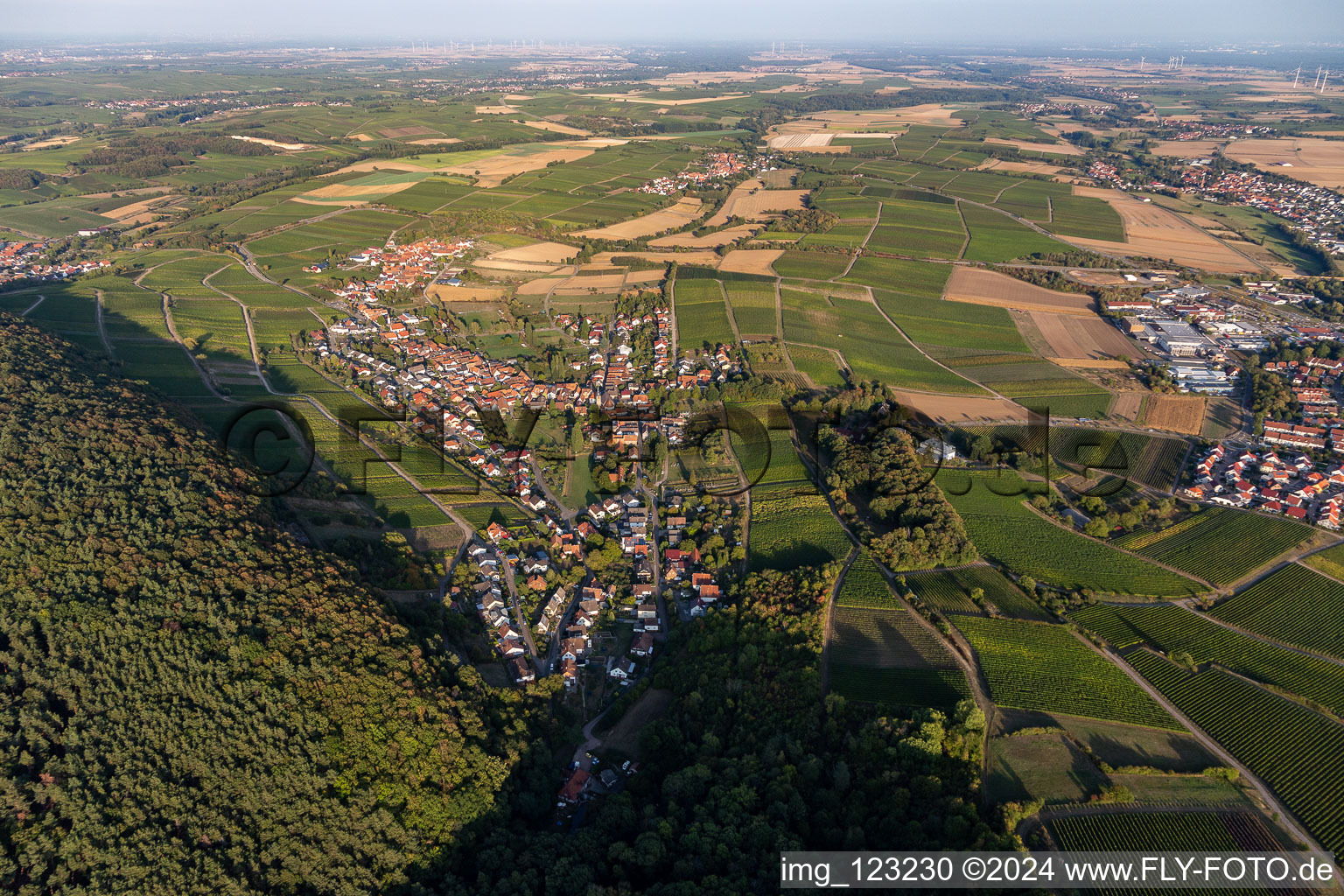 District Pleisweiler in Pleisweiler-Oberhofen in the state Rhineland-Palatinate, Germany from the plane