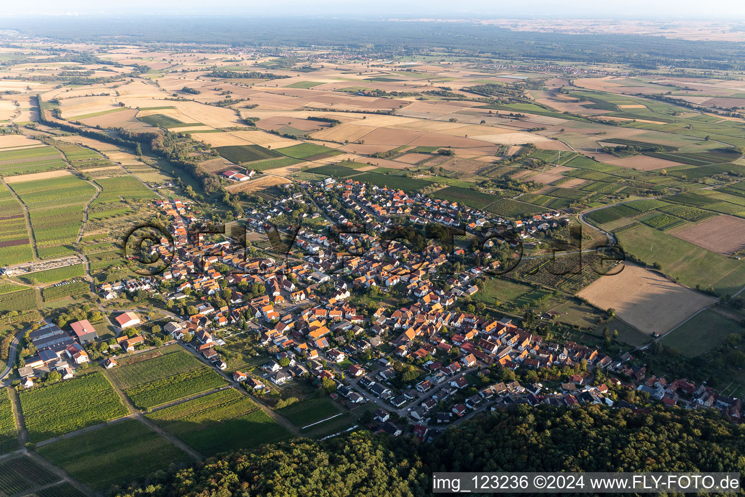 Oberotterbach in the state Rhineland-Palatinate, Germany seen from a drone